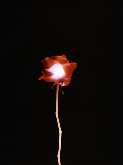 Sans titre, 2007 - Richard Green
