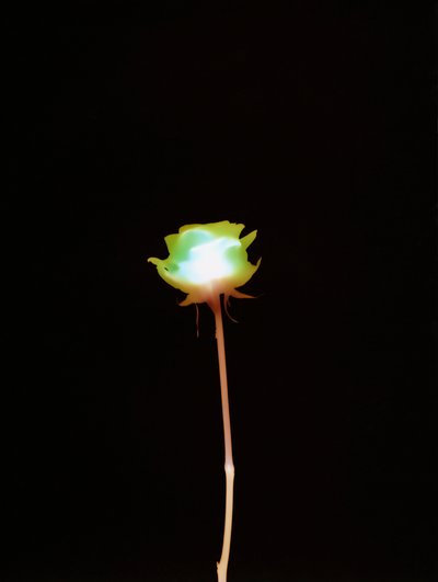 Sans titre, 2007 - Richard Green
