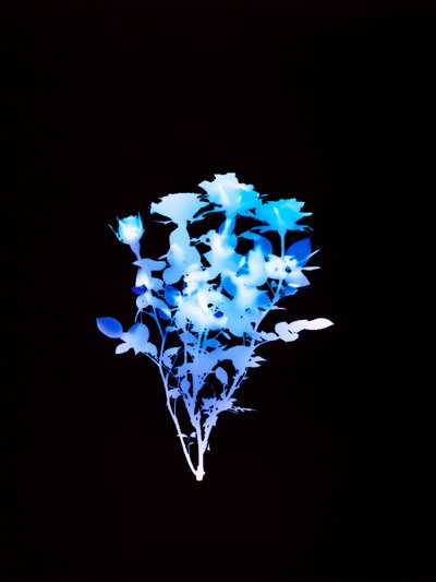 Sans titre, 2008 - Richard Green