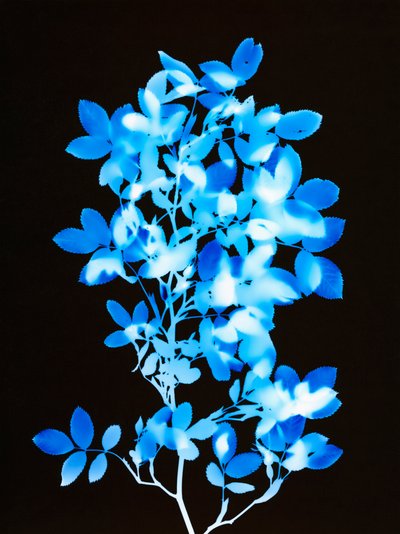Sans titre, 2008 - Richard Green