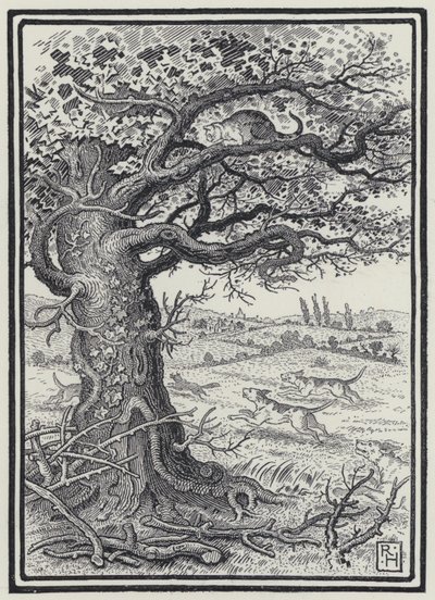 Le renard et le chat - Richard Heighway