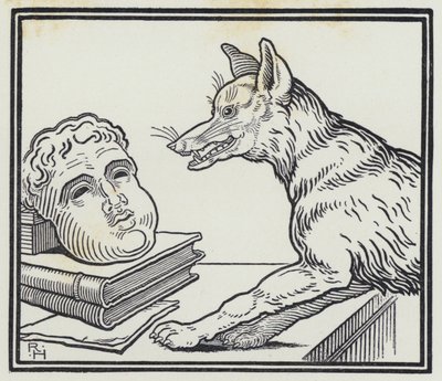 Le Renard et le masque - Richard Heighway