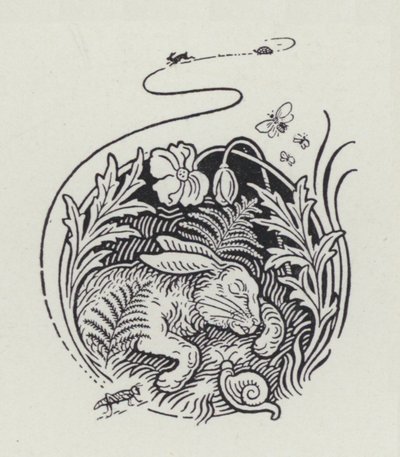Le lièvre et la tortue - Richard Heighway