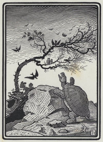 La Tortue et les Oiseaux - Richard Heighway