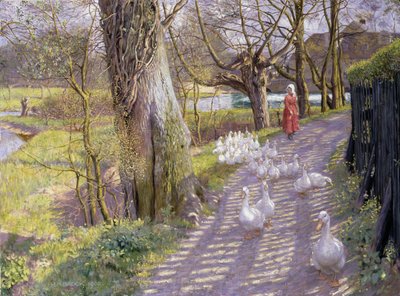 Le chemin près de l