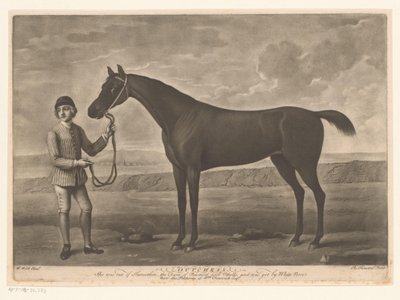 Cheval de course avec jockey - Richard Houston
