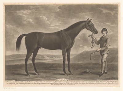 Cheval de course avec jockey - Richard Houston