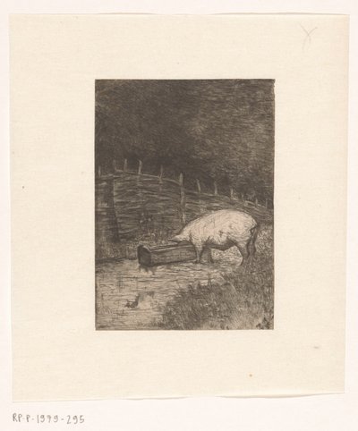 Cochon mangeant dans une auge - Richard Nicolaüs Roland Holst