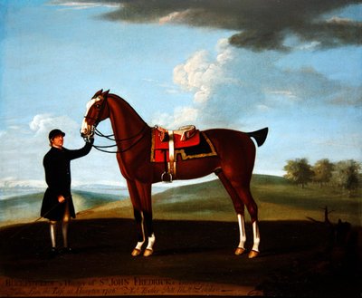 Le chasseur bai de Sir John Frederick 