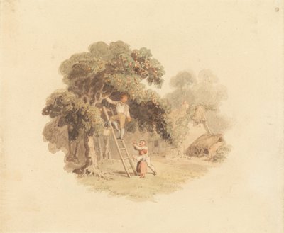 Un pommier près d