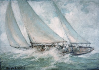 Titre inconnu - Richard Willis