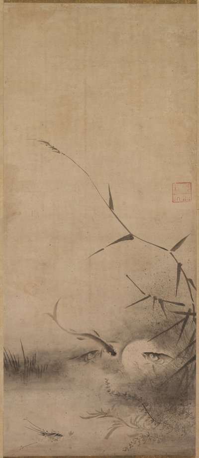 Poissons et algues - Rinkyo