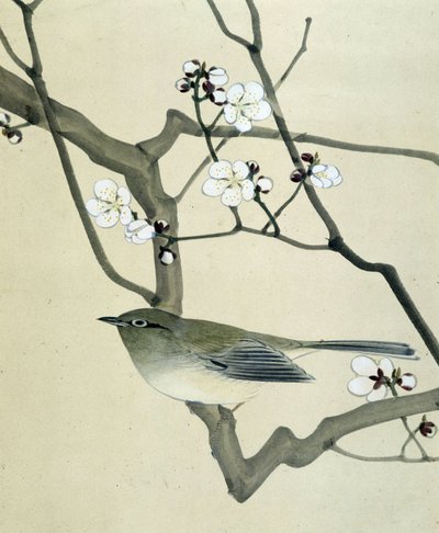 Oiseau - Dessin japonais par Riou Chim, fin 19ème siècle - Riu Chim