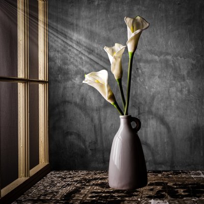 Des lis calla au soleil - Rob Ryan