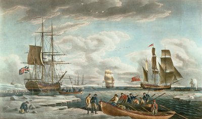 La pêche à la baleine au Groenland, publié par John  Josiah Boydell - Robert (after) Dodd