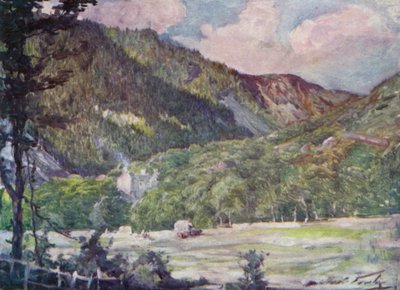 Un champ de foin près de Portmadoc (lithographie en couleur) - Robert (after) Fowler