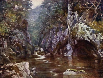 Fairy Glen, Bettws-y-Coed - Robert (after) Fowler