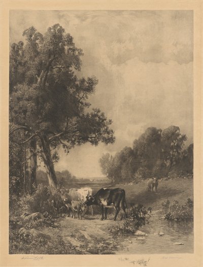 Sans titre (Vaches et veaux près d