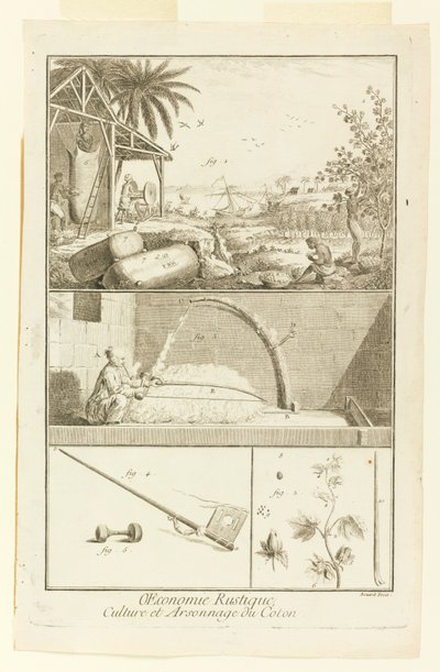 "Culture et Arsonnage du Coton" de l
