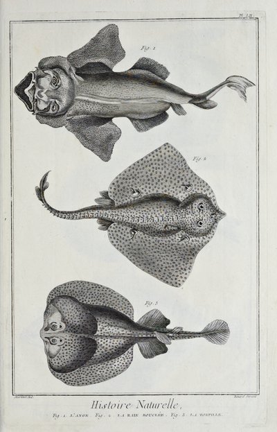 Illustration de 