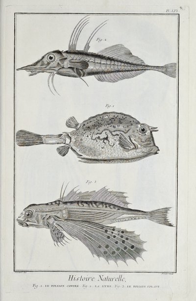 Illustration du 