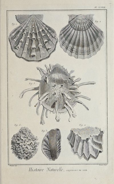 Illustration du 