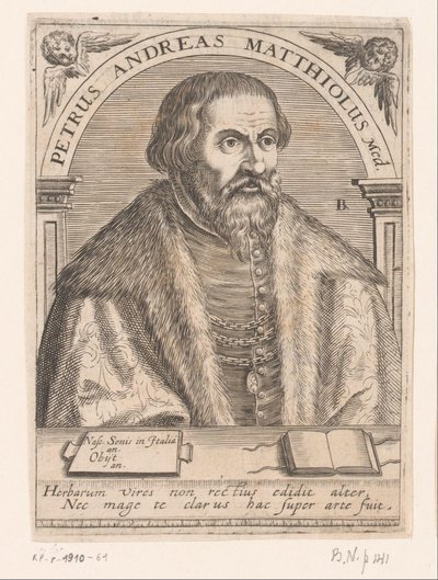 Portrait de Pietro Andrea Mattioli - Robert Boissard