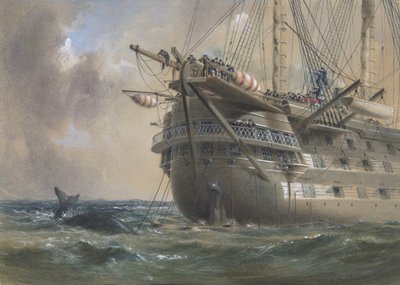 H.M.S. Agamemnon posant le câble télégraphique atlantique en 1858 : une baleine traverse la ligne, 1865-66 - Robert Charles Dudley