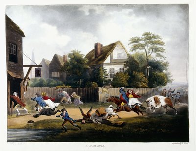 Un taureau enragé, 1806 - Robert Dodd