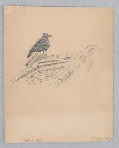 Oiseau - Robert Frederick Blum