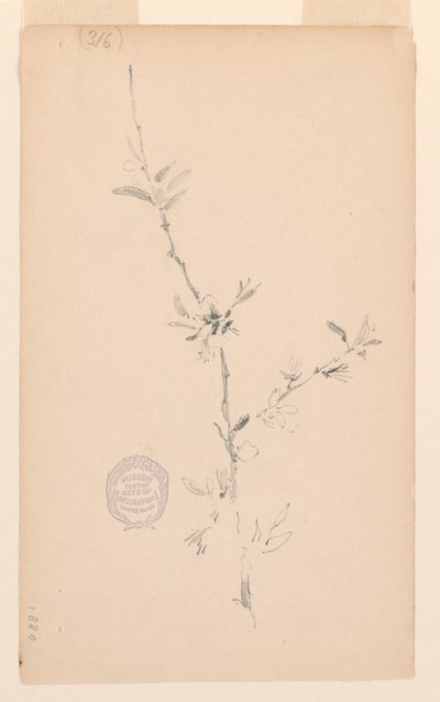 Branche - Robert Frederick Blum