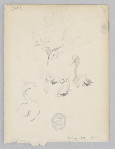 Canards - Robert Frederick Blum