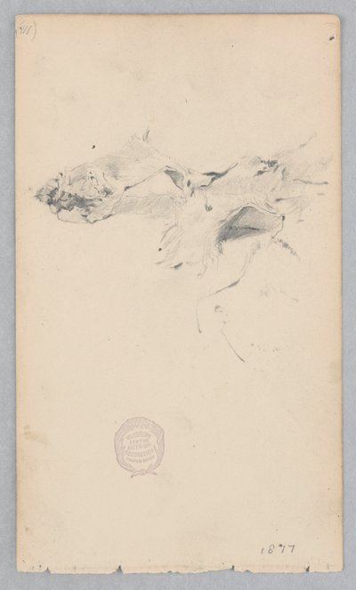 Tapis en peau de tigre - Robert Frederick Blum