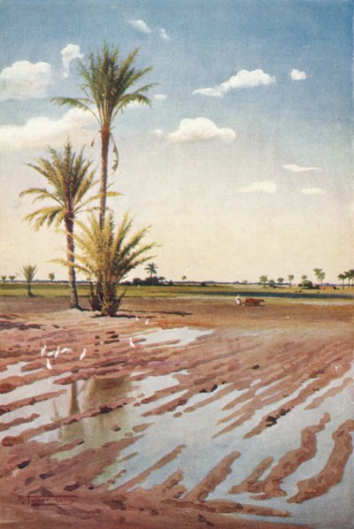 Un champ irrigué, vers 1880, 1904 - Robert George Talbot Kelly