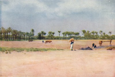 Esbet-El-Ekiad - Terre de Goshen, vers 1880, 1904 - Robert George Talbot Kelly