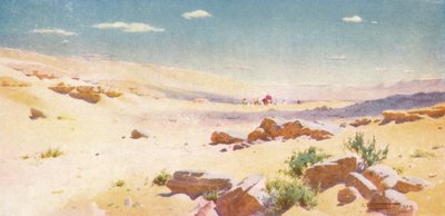 Dans une terre aride et sèche, où il n