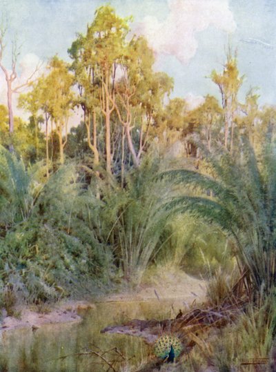 La maison du paon - Robert George Talbot Kelly