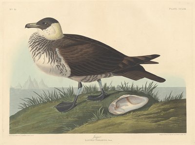 Jager - Robert Havell
