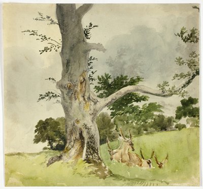 Famille de cerfs sous un arbre - Robert Hills