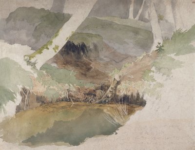 Piscine forestière - Robert Hills