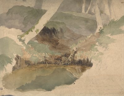 Étang forestier - Robert Hills