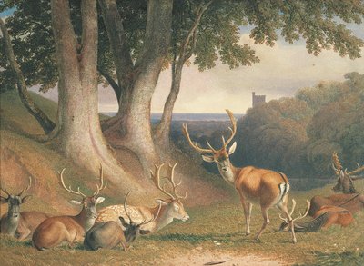 Paysage avec des cerfs, c.1800 - Robert Hills