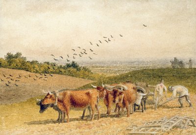 Bœufs labourant un champ de Downland - Robert Hills