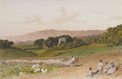 Le champ de navets - Robert Hills