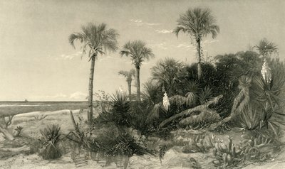 Sur la côte de Floride - Robert Hinshelwood
