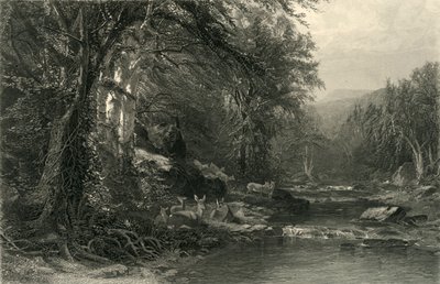 Les bois des Adirondacks - Robert Hinshelwood