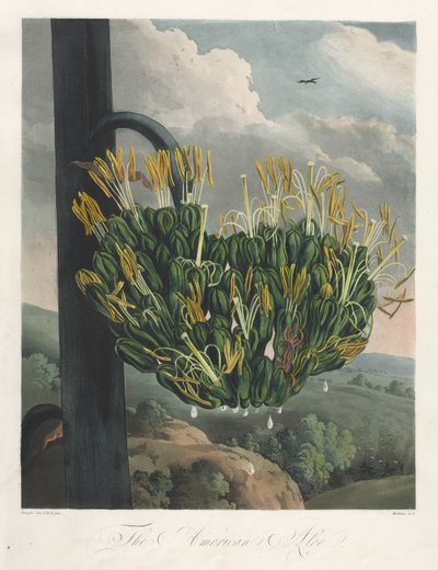 Le temple de Flora, ou le jardin de la nature : L