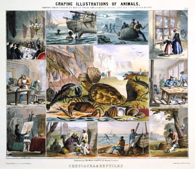 Crustacés et reptiles, vers 1850 - Robert Kent Thomas