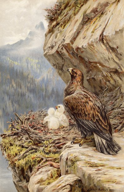 Enfants de la montagne - Robert Morley