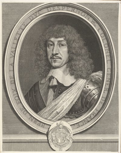 Bernard de Foix de La Valette duc d